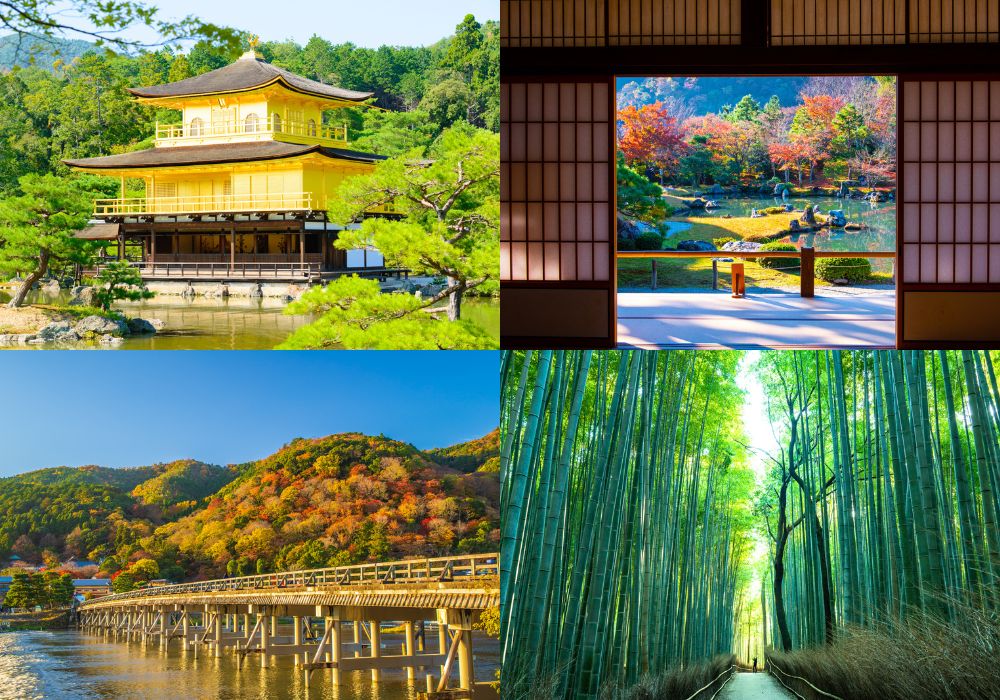 kyoto rakusei