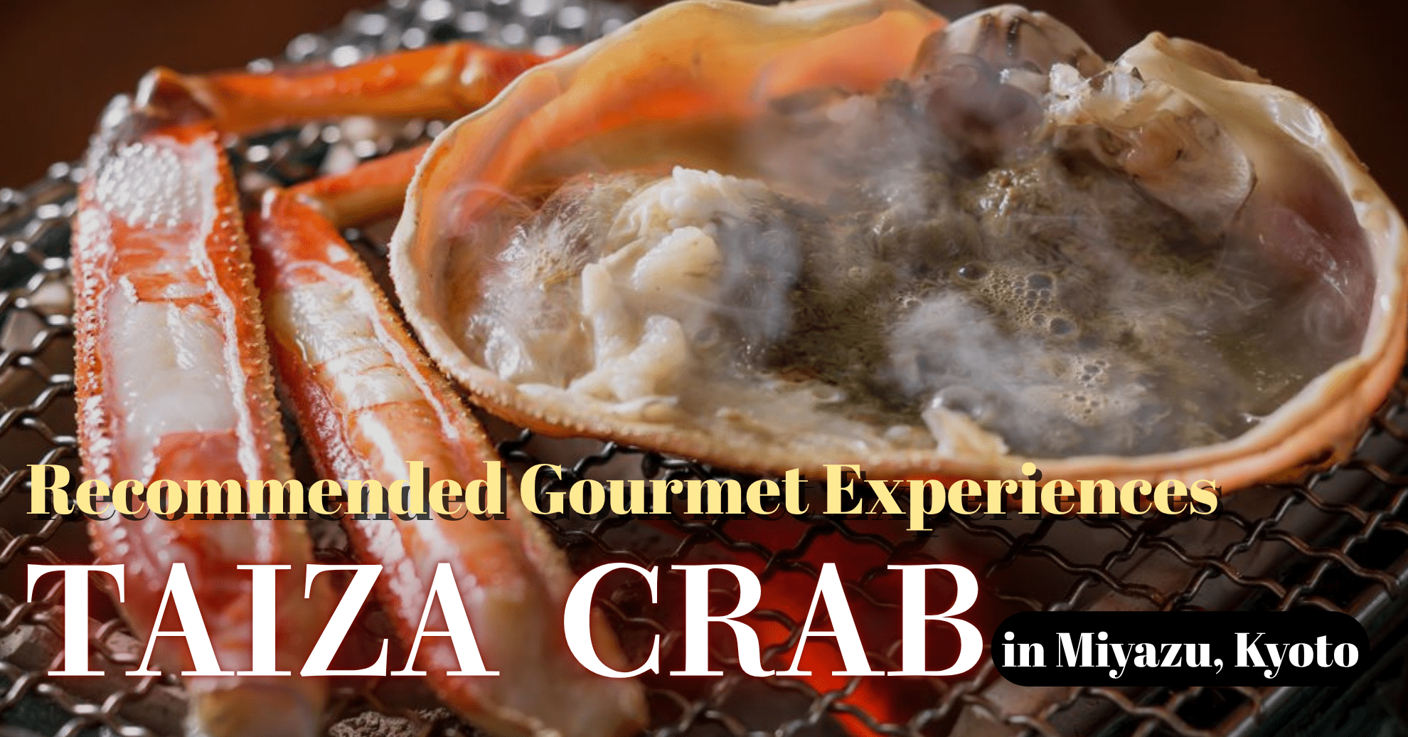 英語サムネイル1980×1036 (9)