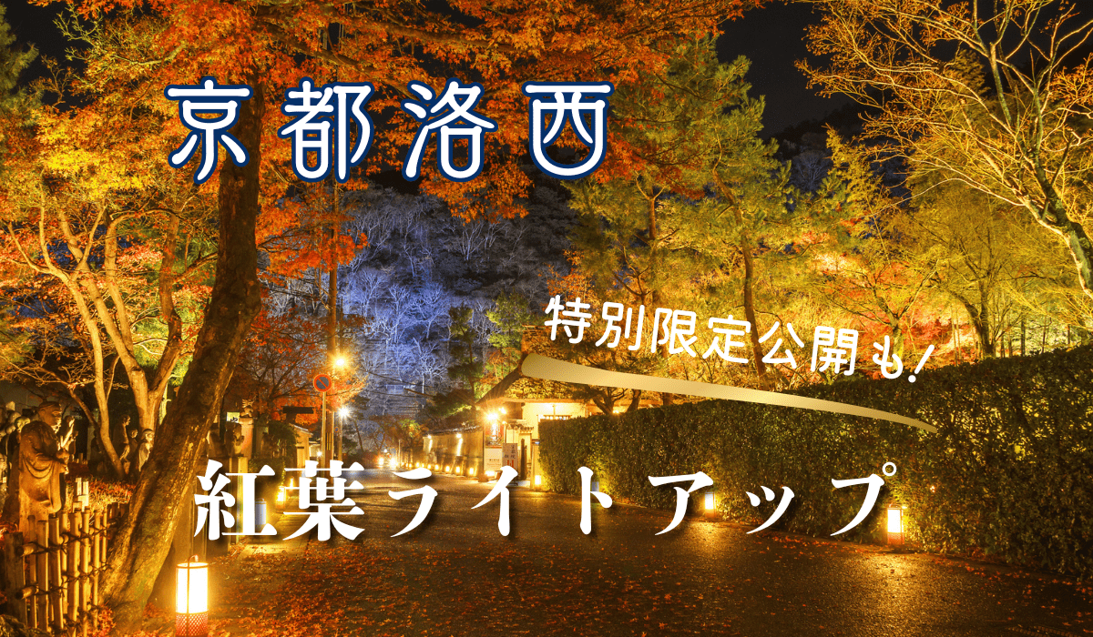 京都洛西　紅葉ライトアップ