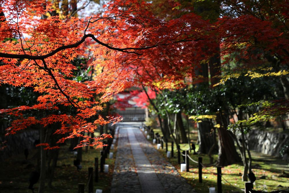 Rokuō-in Temple