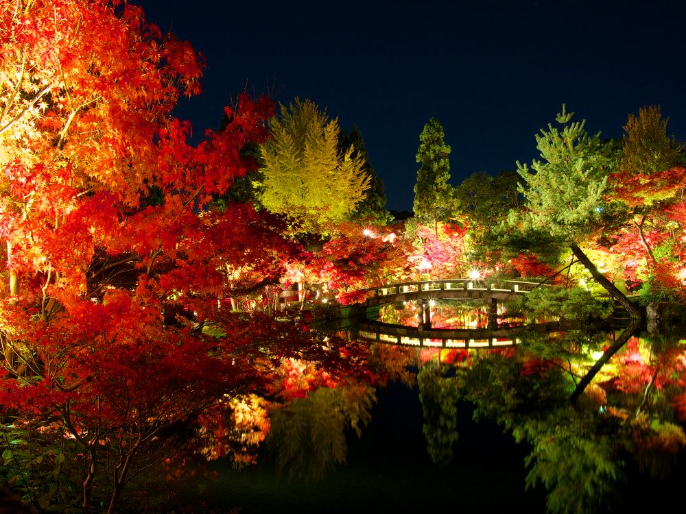 永観堂禅林寺