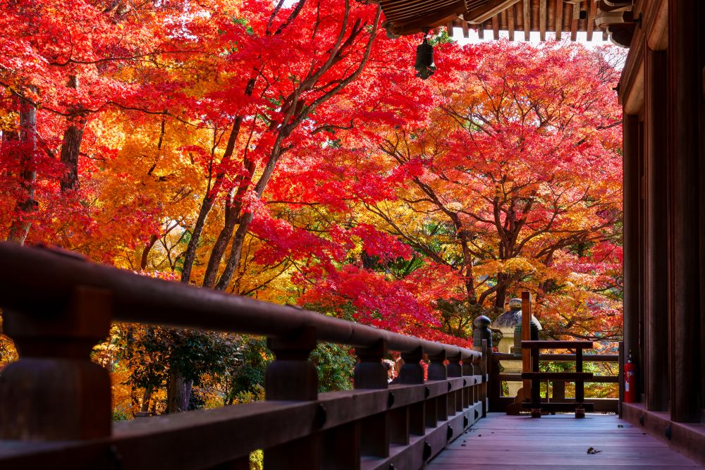 Yanagidani Kannon Yōkoku-ji Temple