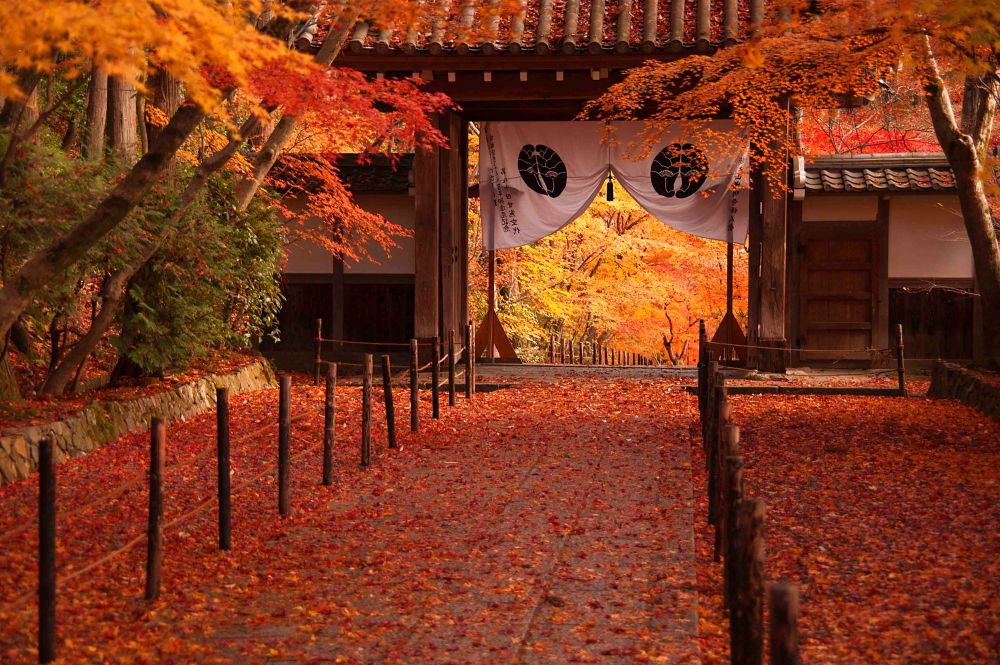 Kōmyō-ji Temple
