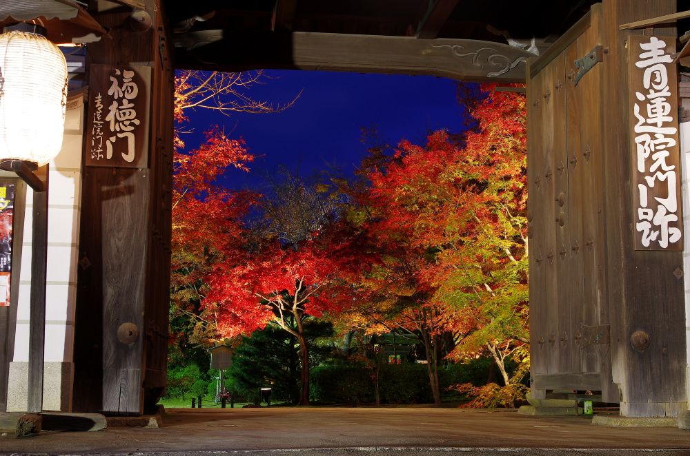 Shōren-in Monzeki Temple: