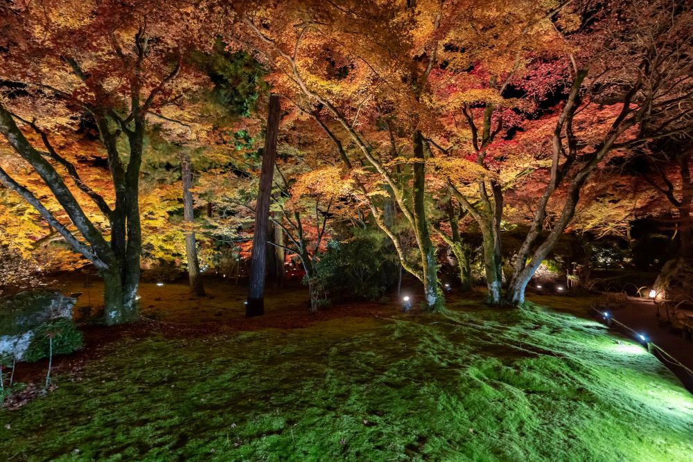 天龍寺塔頭寺院「宝厳院