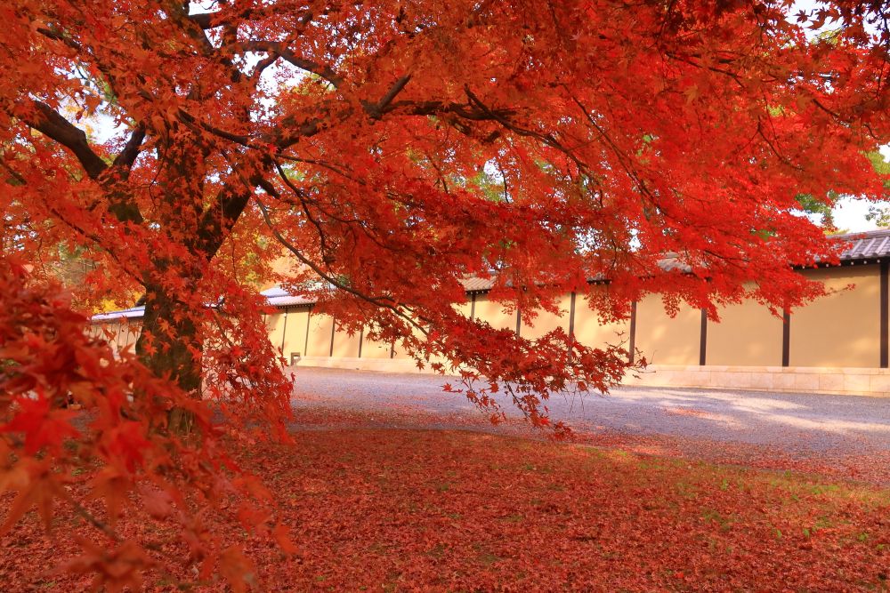 Kyoto State Guest House
