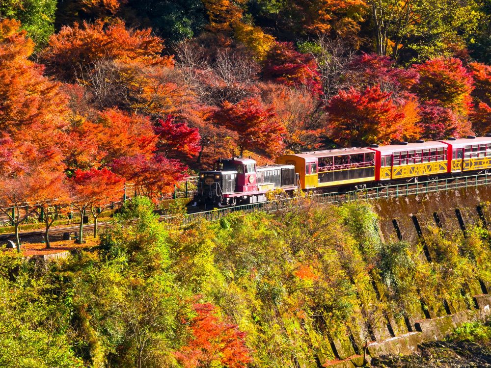 Sagano Romantic Train