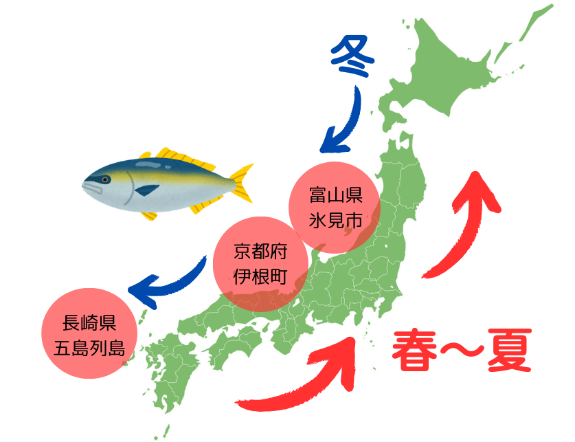 鰤 回遊ルート