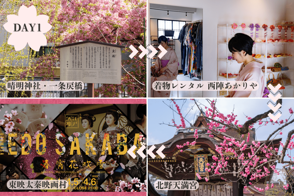 京都お花見モデルコース