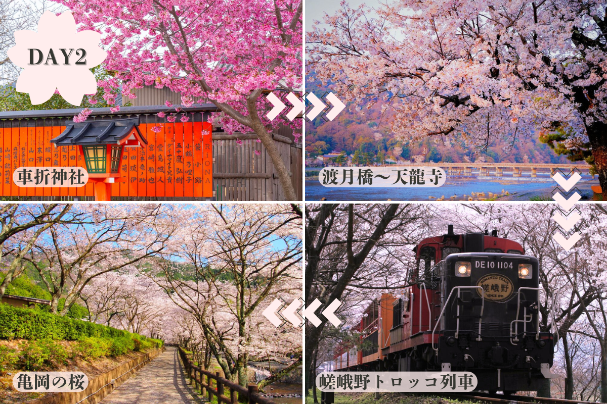 京都お花見モデルコース