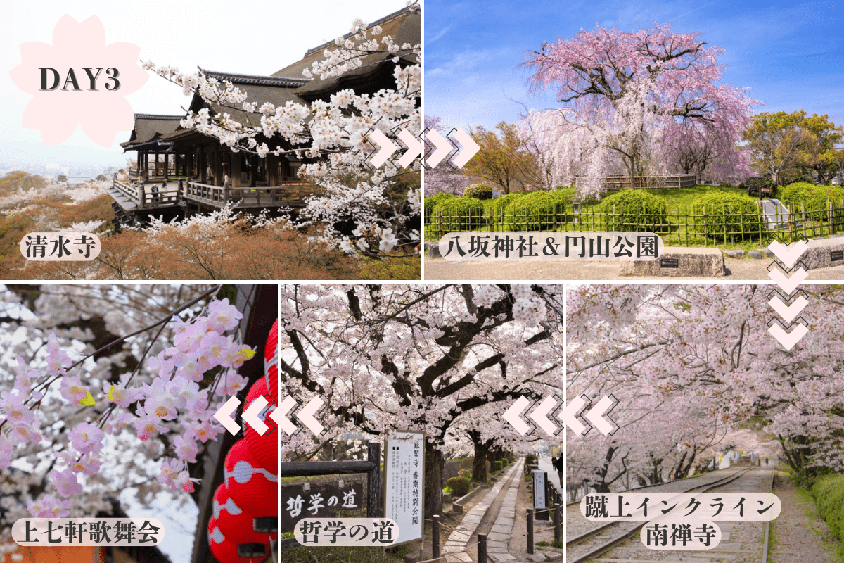 京都お花見モデルコース