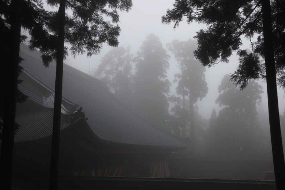 琵琶湖八景「煙雨 比叡の樹林」