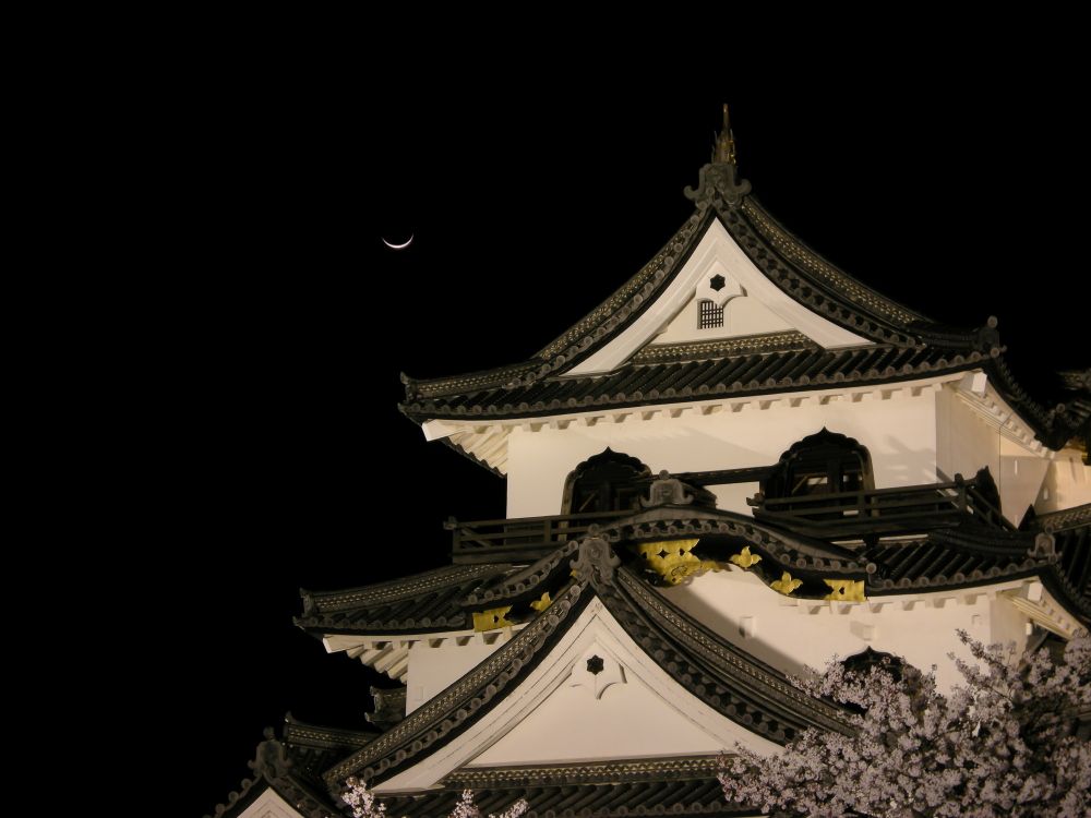 月明 彦根の古城