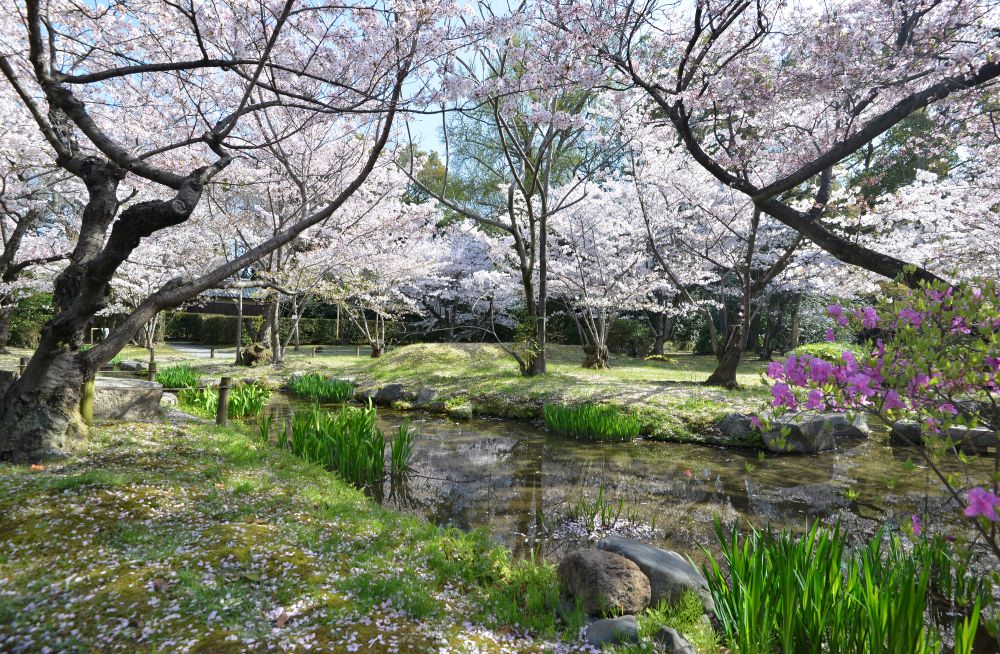 東本願寺