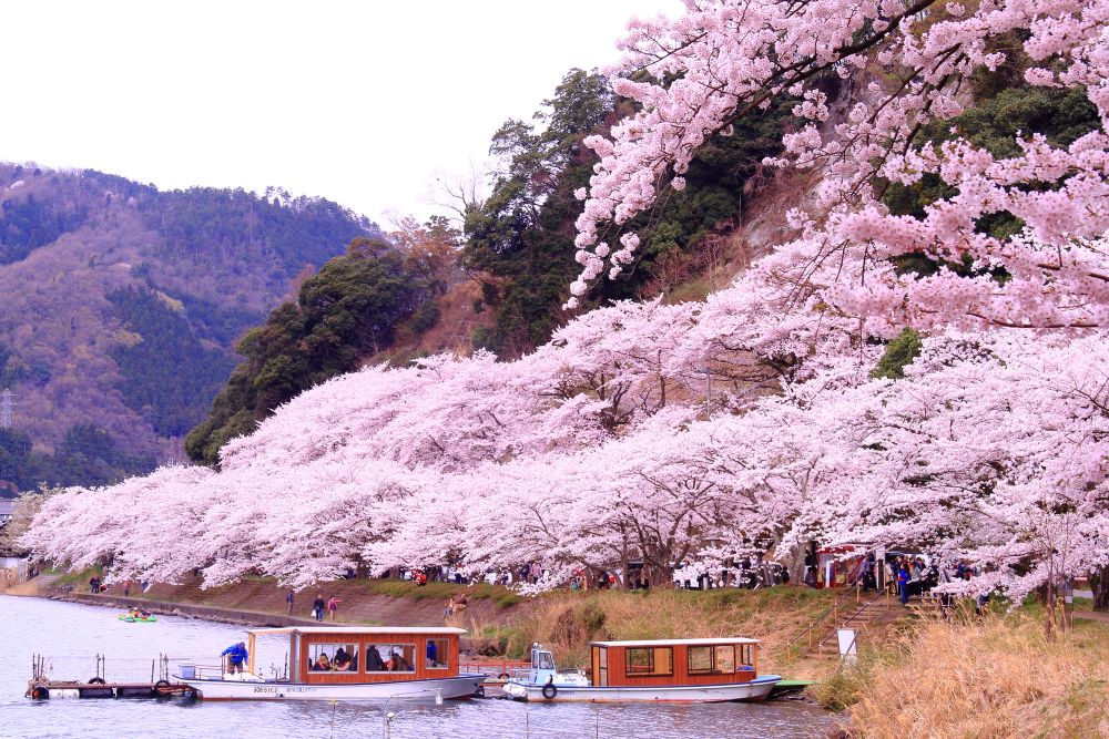 暁霧 海津大崎の岩礁