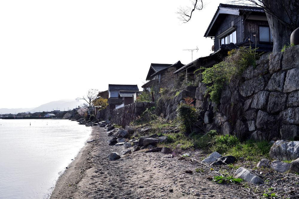 暁霧 海津大崎の岩礁