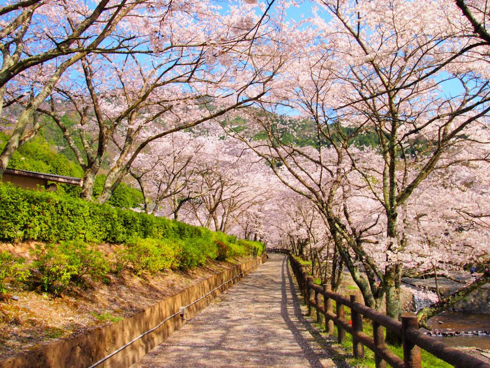 七谷川(和らぎの道)