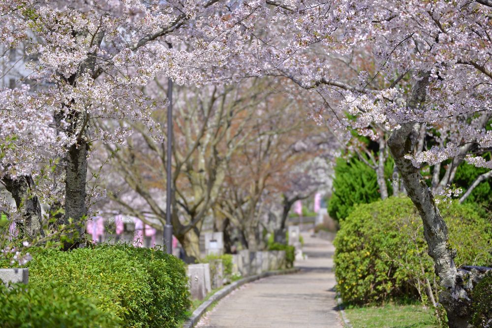 亀岡南郷公園