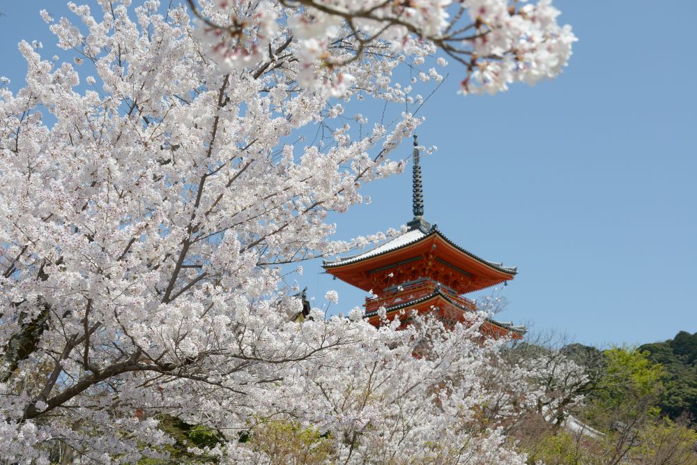 清水寺