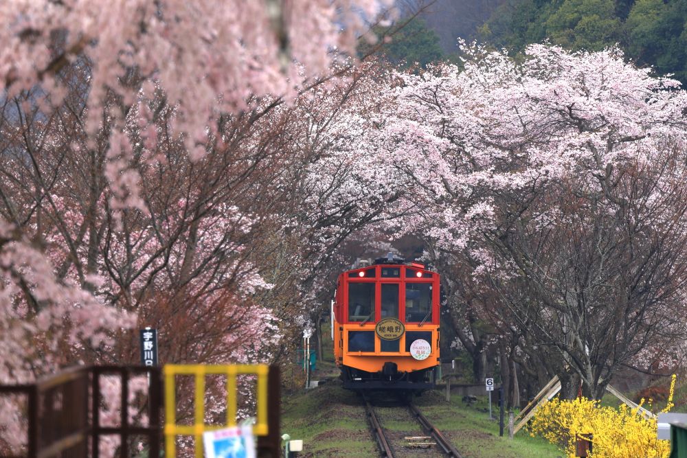 嵯峨野トロッコ列車