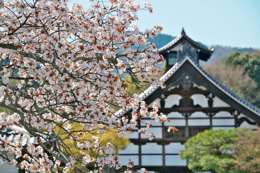 天龍寺