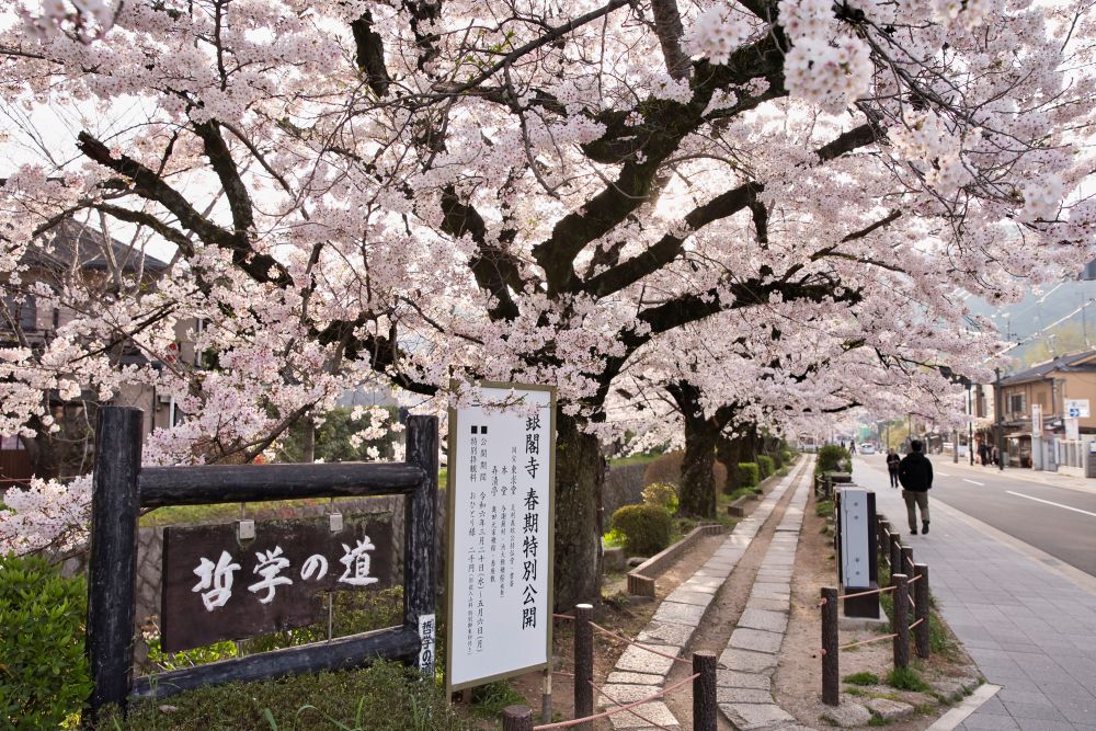 哲学の道