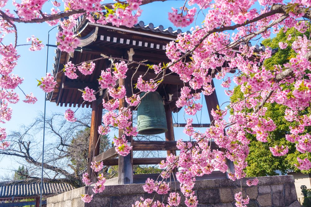 東寺