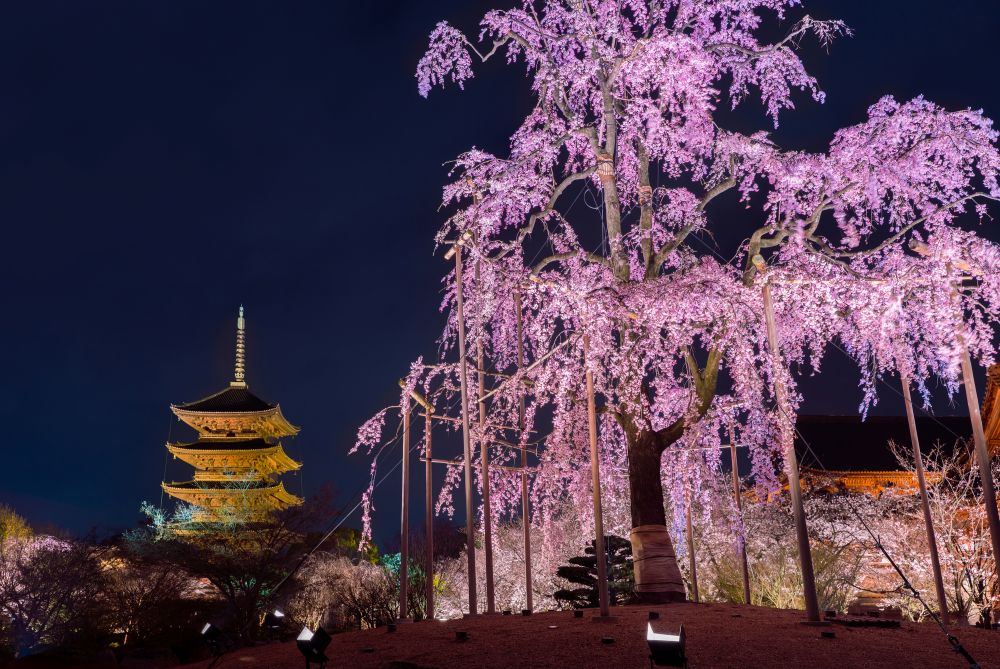東寺