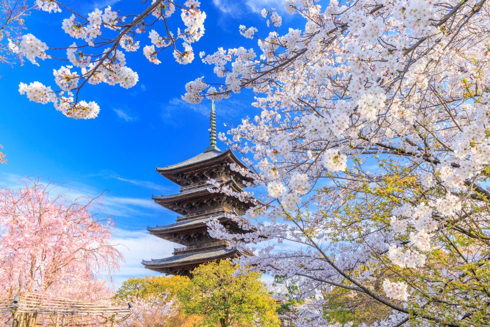 東寺