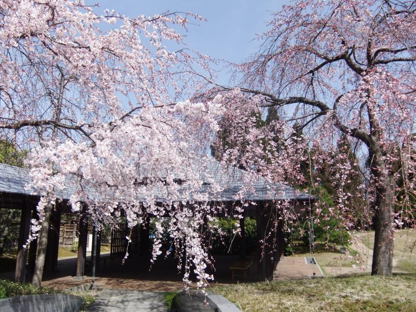 梅小路公園