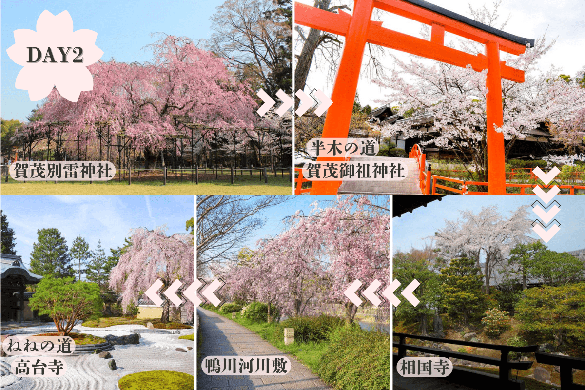 京都お花見モデルコース2日目