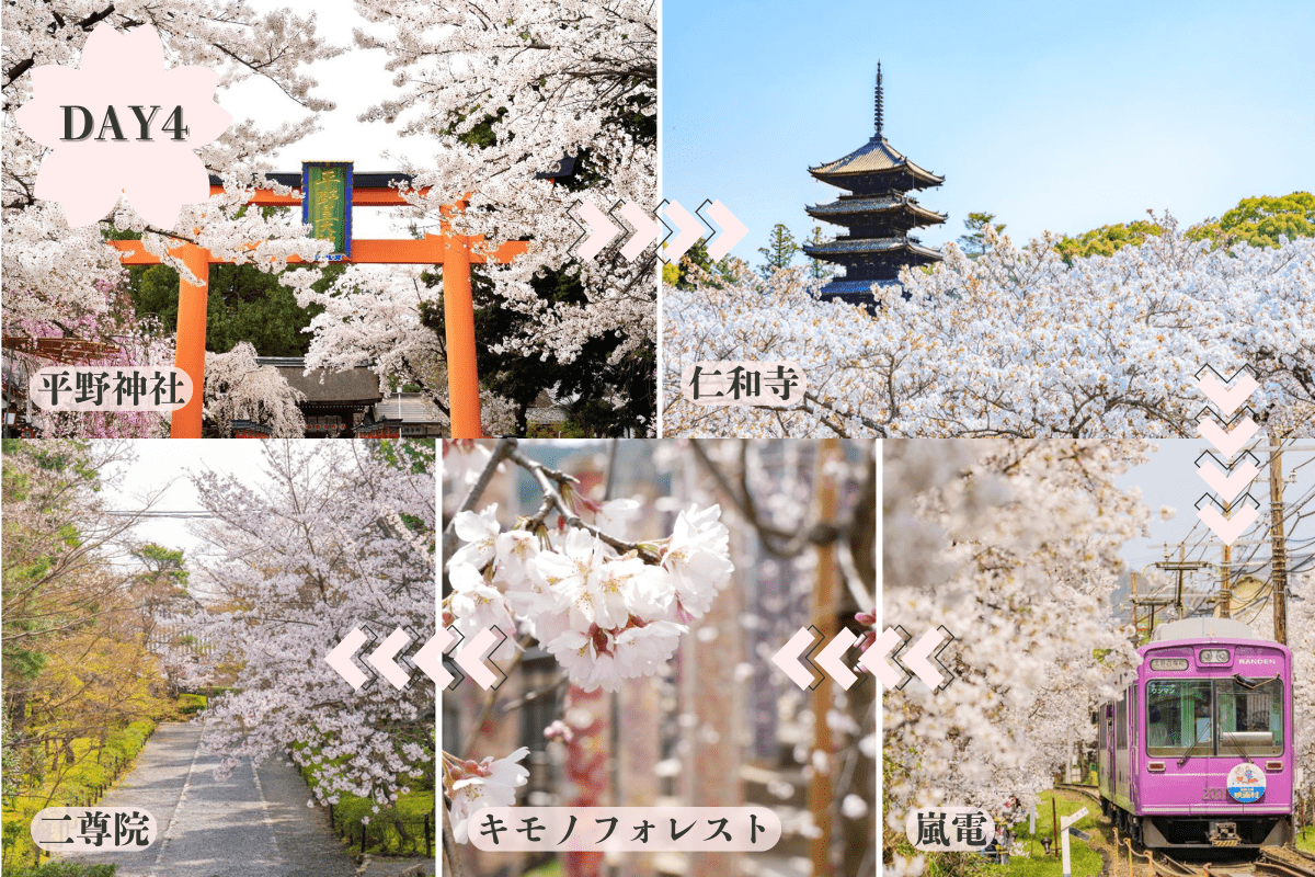 京都お花見モデルコース4日目