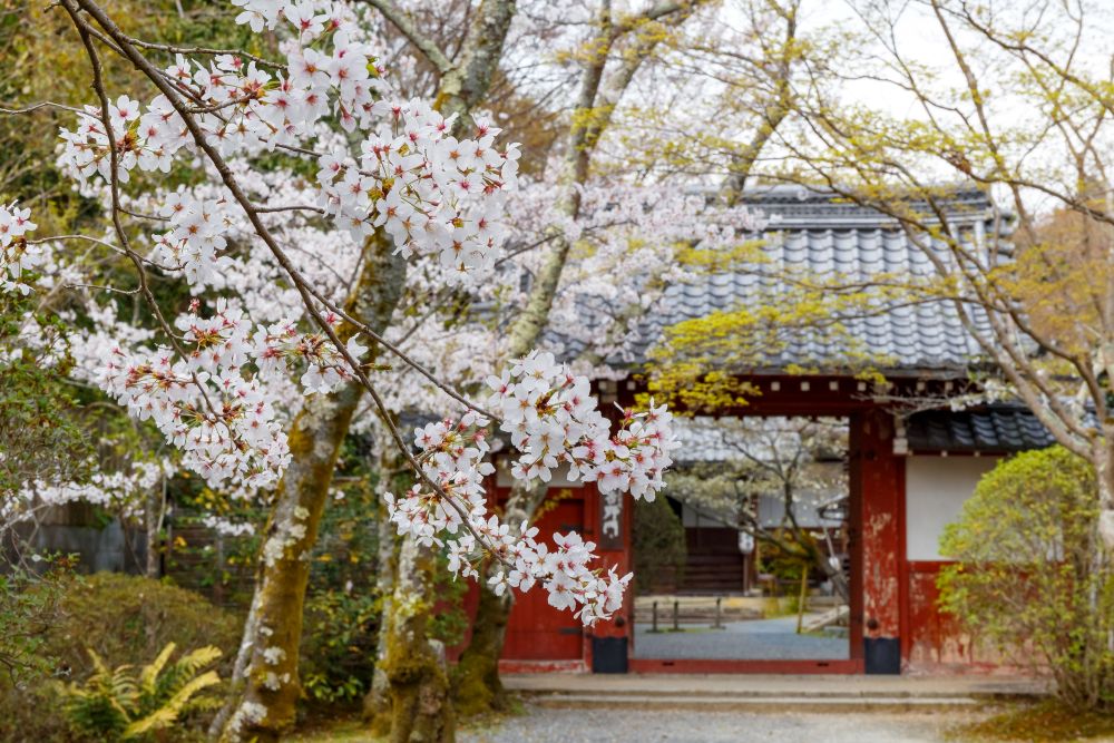 常照寺
