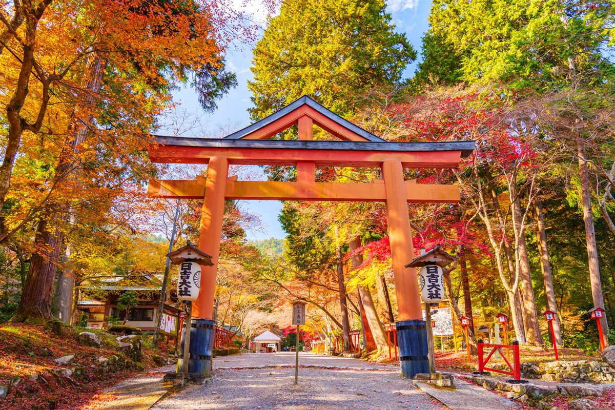 Autumn leaves at Hiyoshi Taisha