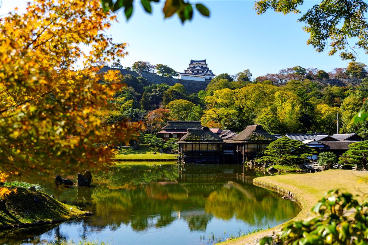 Autumn leaves at Hikone Castle