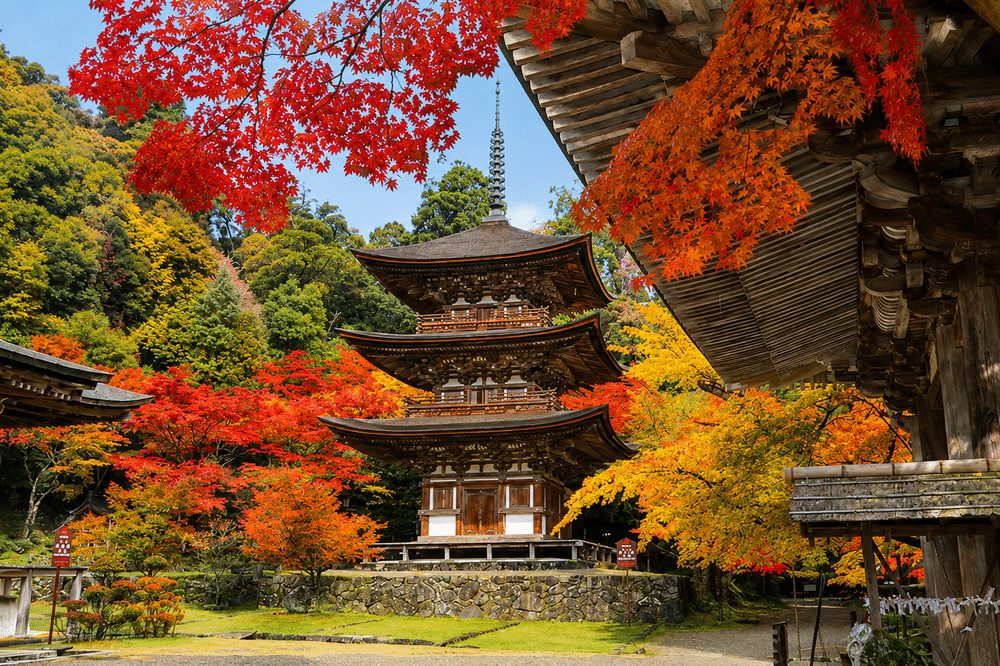 Saimyoji