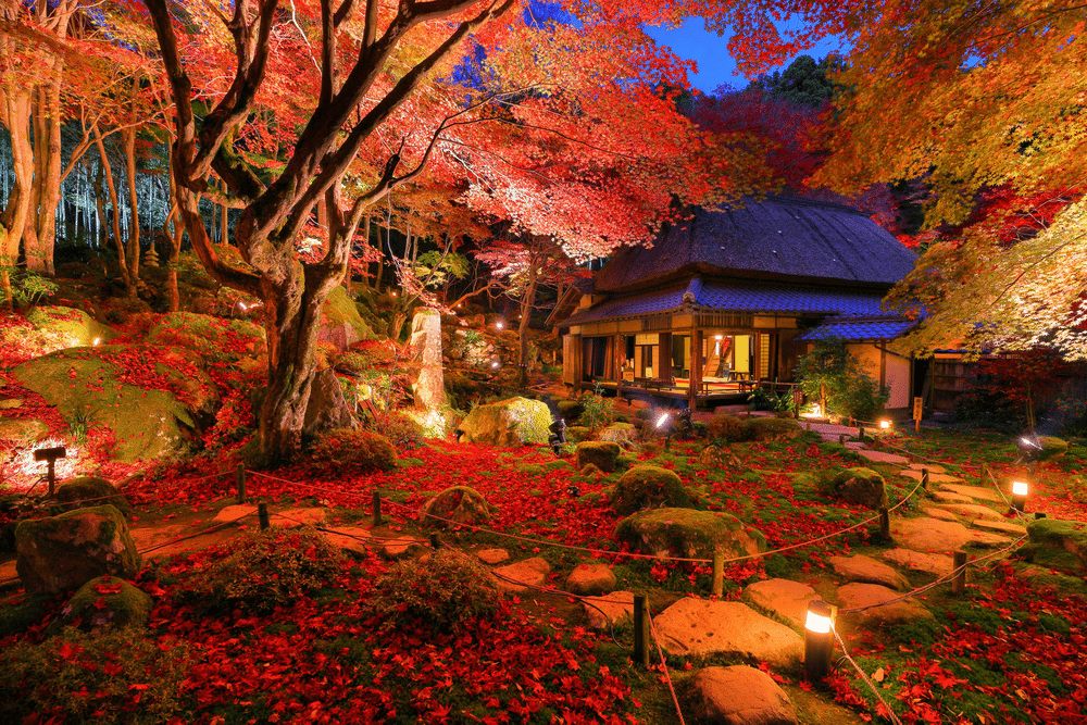 The garden at Kyorinbo